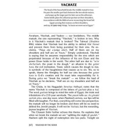 TOUCHED BY THE SEDER (H/C) | Passover | Judaica