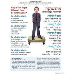 The Illustrated Haggadah - Paperback | Passover | Judaica