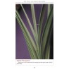 The Lulav and Esrog Handbook - Hardcover | Sukkot | Judaica