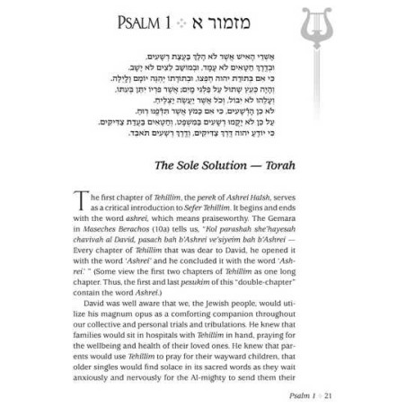 The Touch of Tehillim - Standard Size | Books | Judaica