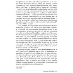 Torah for Your Table - Hardcover | Books | Judaica