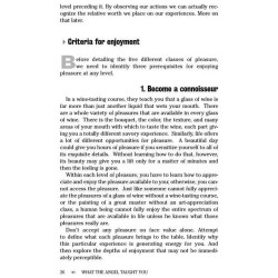 What the Angel Taught You - Hardcover | Books | Judaica