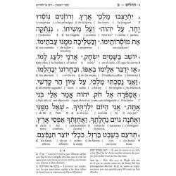 Spanish Interlinear Tehillim - The Wengrowsky Edit | Books | Judaica