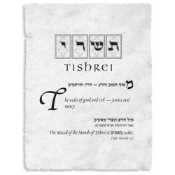 The Wisdom In The Hebrew Months Volume 2 | Books | Judaica