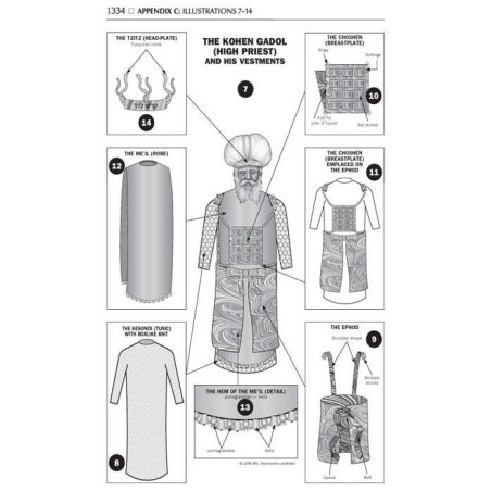 Stone Edition Tanach: English Only - Pocket Size H | Books | Judaica