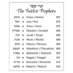 Stone Edition Tanach: English Only - Pocket Size H | Books | Judaica