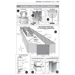 Stone Edition Tanach: English Only - Mid Size Maro | Books | Judaica