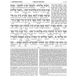 Interlinear Chumash Vol 1: Bereishis / Genesis | Books | Judaica