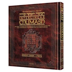 Interlinear Chumash Vol 1: Bereishis / Genesis | Books | Judaica
