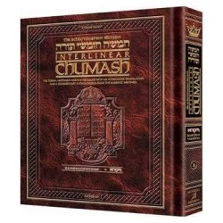 Schottenstein Ed Interlinear Chumash Vol 3: Vayikr | Books | Judaica