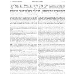 Schottenstein Ed Interlinear Chumash Vol 3: Vayikr | Books | Judaica