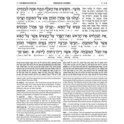 Schottenstein Ed Interlinear Chumash Vol 3: Vayikr | Books | Judaica