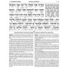 Schottenstein Ed Interlinear Chumash Vol 4: Bamidb | Books | Judaica