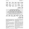 Interlinear Sabbath & Festivals Siddur Full Size A | Books | Judaica