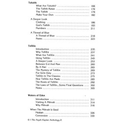 Aryeh Kaplan Anthology Volume II - Hardcover | Books | Judaica