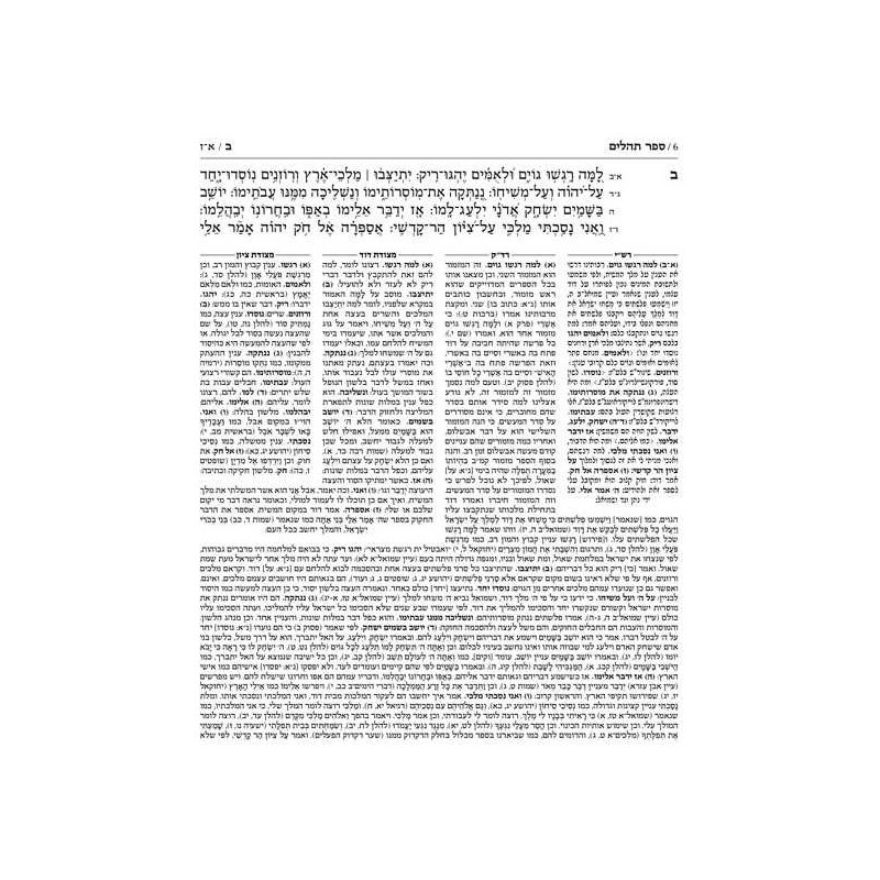 Kesuvim: Psalms (Tehillim) - Hardcover | Books | Judaica