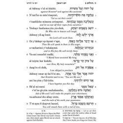 Seif Edition Tehillim: Transliterated Linear - Poc | Books | Judaica