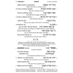 Seif Edition Tehillim: Transliterated Linear - Poc | Books | Judaica