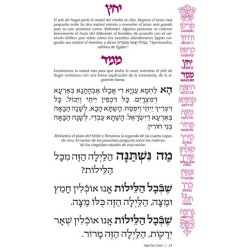 Haggadah:Family Haggadah-Spanish Edition - Paperba | Passover | Judaic