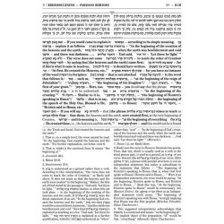 Schottenstein Talmud Yerushalmi - English Edition  | Books | Judaica