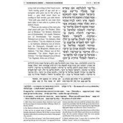 Sapirstein Edition Rashi - 4 - Bamidbar - Student  | Books | Judaica