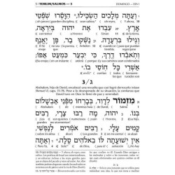 Wengrowsky Edition Spanish Interlinear Tehillim | Books | Judaica