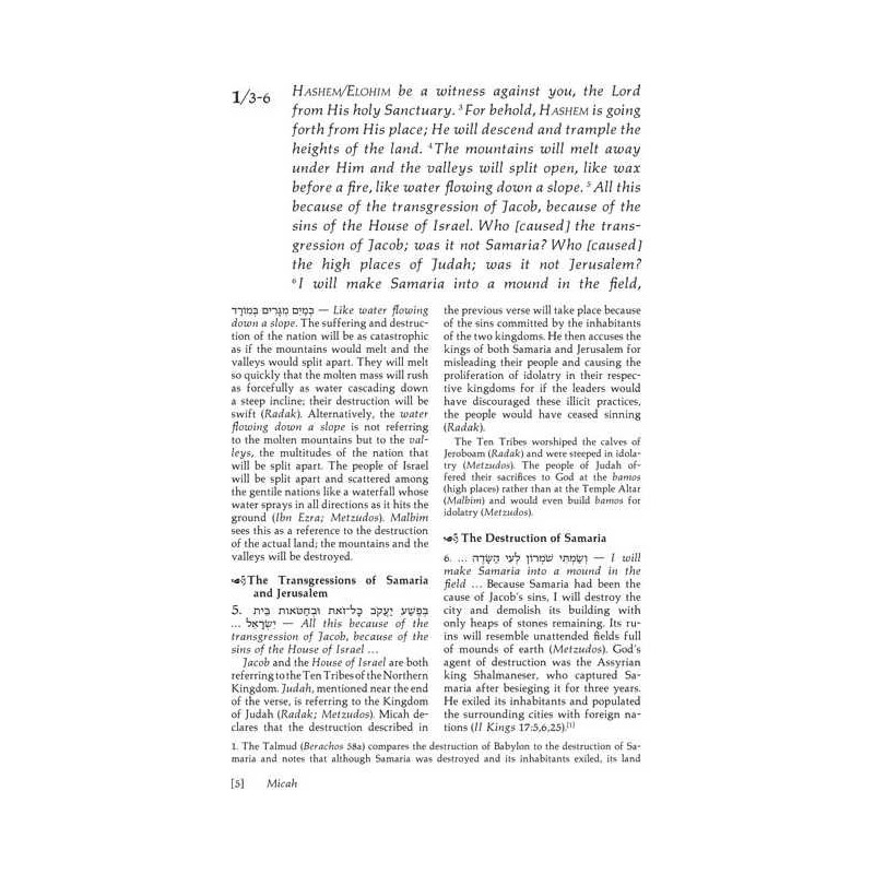 Trei Asar II / Twelve Prophets II - Hardcover | Books | Judaica