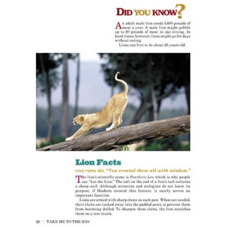 Take Me To The Zoo - Hardcover | Books | Judaica