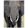 Take Me To The Zoo - Hardcover | Books | Judaica