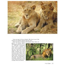 Take Me To The Zoo - Hardcover | Books | Judaica