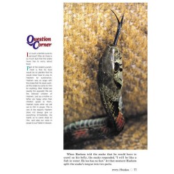 Take Me To The Zoo - Hardcover | Books | Judaica