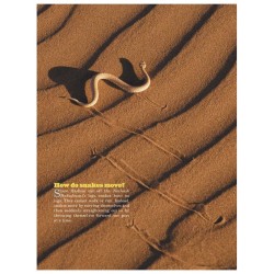 Take Me To The Zoo - Hardcover | Books | Judaica