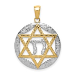 14k Yellow Gold and Rhodium Polished Star of David | Jewelry | Judaica
