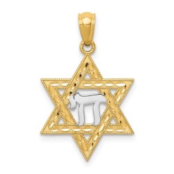 14k Yellow Gold And Rhodium Chai Star of David Pen | Jewelry | Judaica