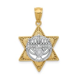 14k Two-Tone Gold Menorah Star of David Pendant | Jewelry | Judaica