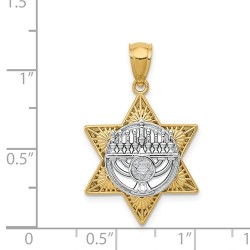 14k Two-Tone Gold Menorah Star of David Pendant | Jewelry | Judaica