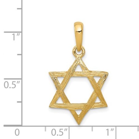 14k Yellow Gold Wood-Grain Textured Star of David  | Jewelry | Judaica