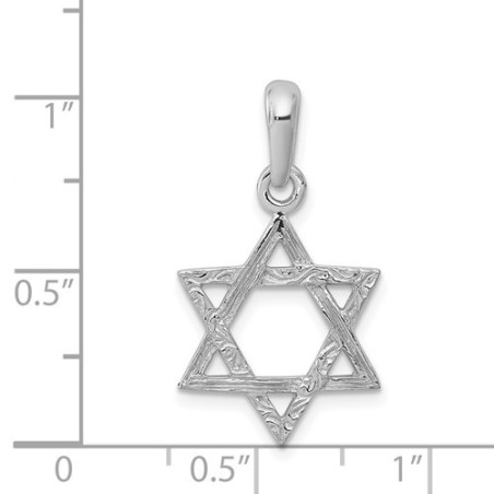 14k White Gold Dual Textured Star of David Pendant | Jewelry | Judaica