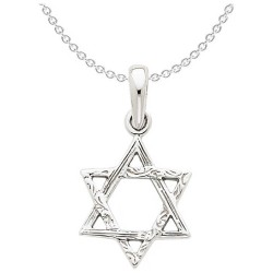 14k White Gold Dual Textured Star of David Pendant | Jewelry | Judaica