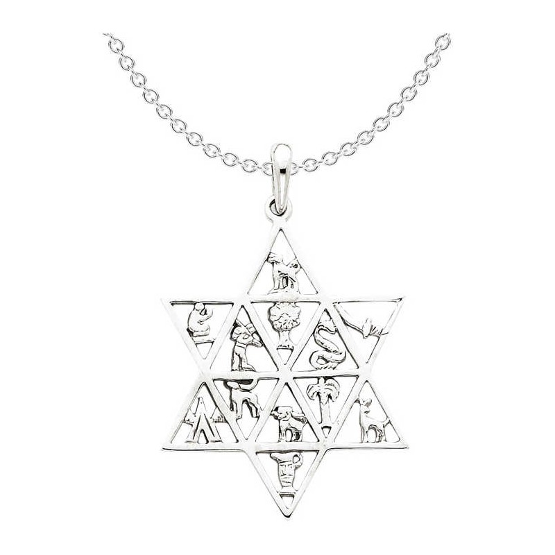 14k White Gold 12 Tribes Star of David Pendant | Jewelry | Judaica