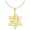 14K Yellow Gold Star Of David 12 Tribes Pendant | Jewelry | Judaica