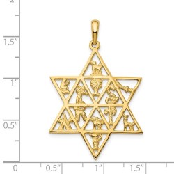 14K Yellow Gold Star Of David 12 Tribes Pendant | Jewelry | Judaica