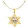 Two-Tone Gold Polished Star of David with Chai Pen | Jewelry | Judaica