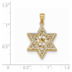 14k Two-Tone Gold Reversible Filigree Star of Davi | Jewelry | Judaica