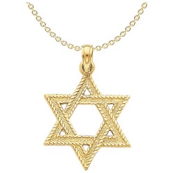 14k Yellow Gold Rope Textured Star of David Pendan | Jewelry | Judaica