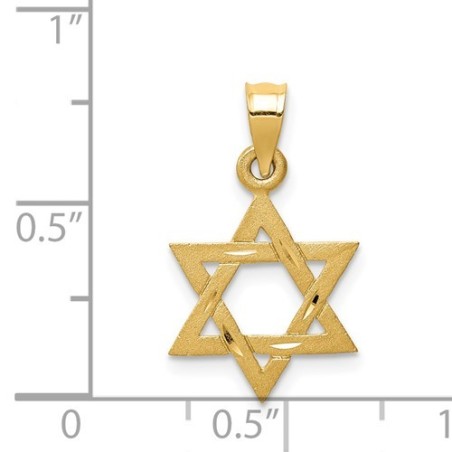 14k Satin Yellow Gold Textured Star Of David Penda | Jewelry | Judaica