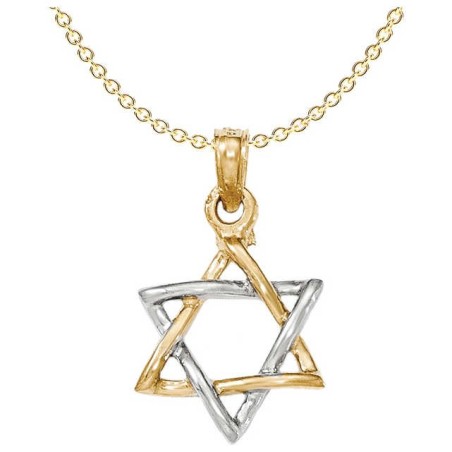 14k Two-Tone Yellow and White Gold Polished Star o | Jewelry | Judaica