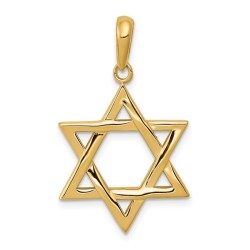 Large 14K Yellow Gold Polished Star of David Penda | Jewelry | Judaica