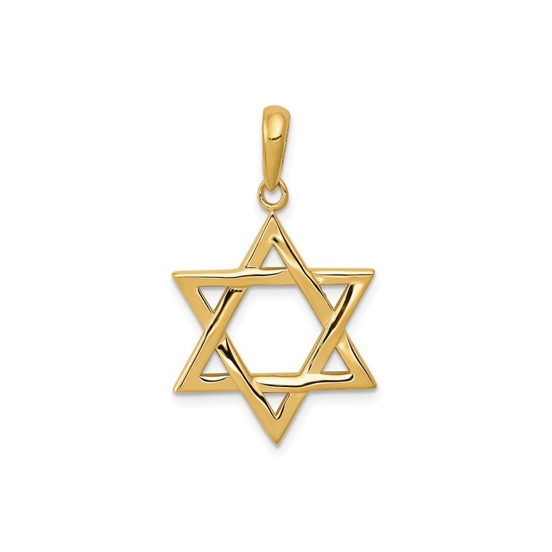 Large 14K Yellow Gold Polished Star of David Penda | Jewelry | Judaica