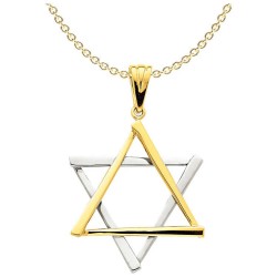 14k Two-Tone Gold Dramatic Star of David Pendant | Jewelry | Judaica